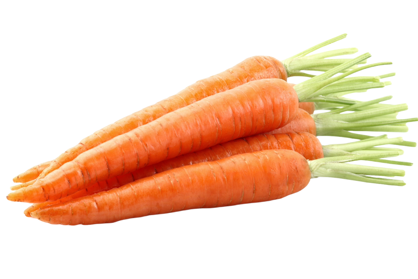 Carottes