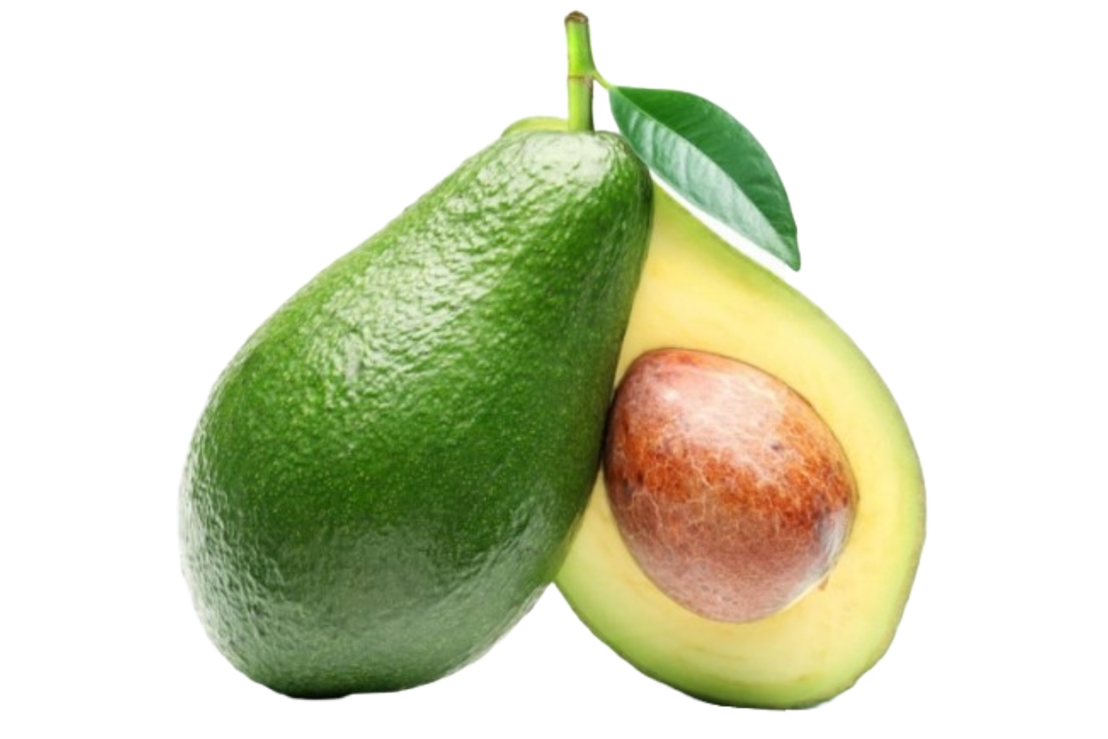 Avocat