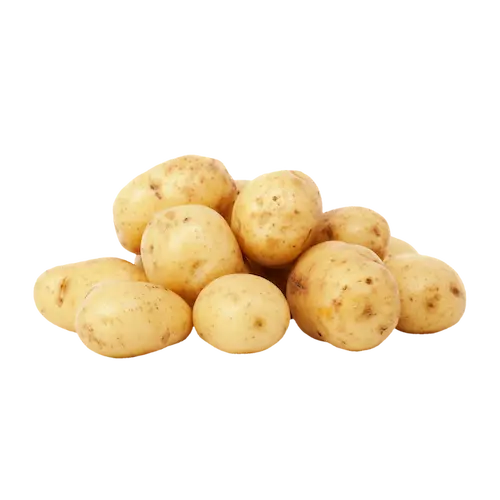 La pomme de terre Agata Extra